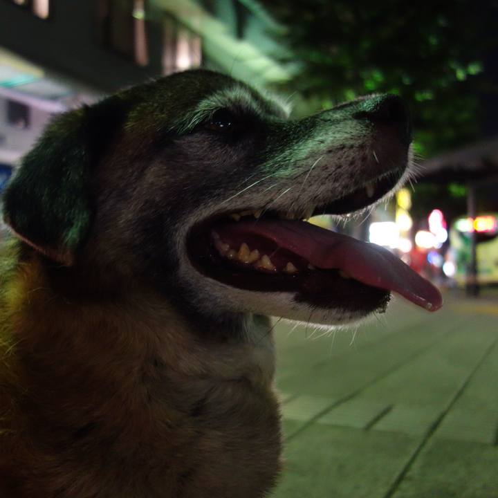 8e86eb53 a736 4e2c b1dd b7771a06c87f 1532179476428