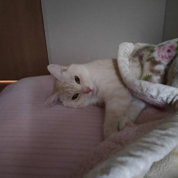 8e86ec57 57b0 4184 9789 f980edbaeaab 1663882846126