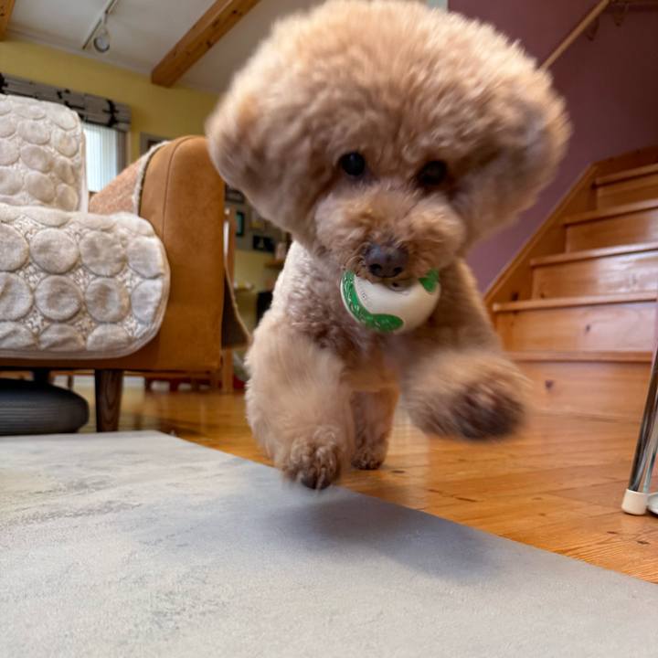 8e8711d0 eaa5 493a 8906 432f2cf089ac 1767654095397