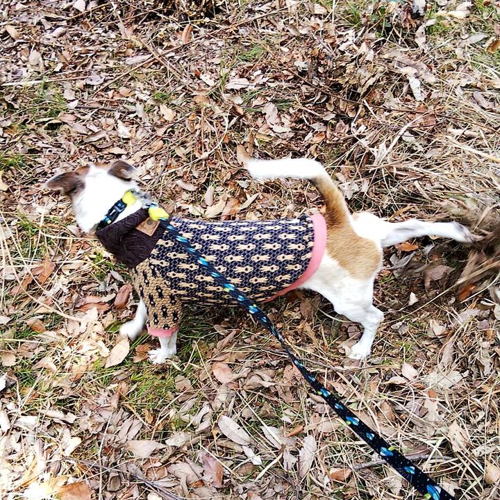 8e871f6d 1bb3 4893 aa42 706560524f4f 1548567014855