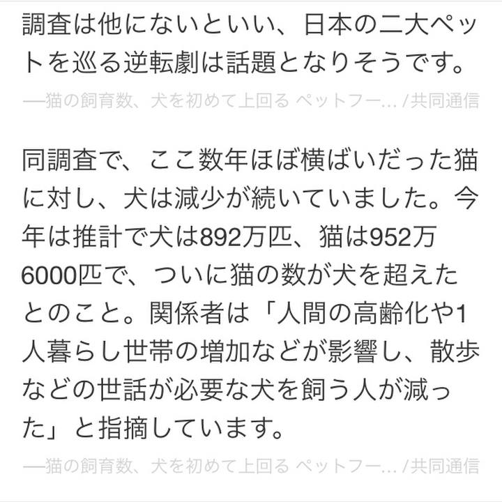 8e872850 5355 4fe3 8cbe 20547dbce8c5 1513941692058