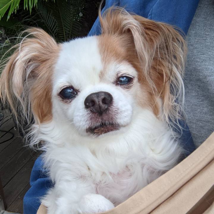 8e873752 3d95 4ed2 b7c3 94aa28ef3840 1650528357850