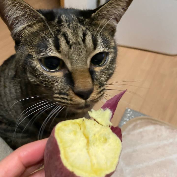 8e87398f c687 4860 9abf a60956d8a1c9 1635162684193