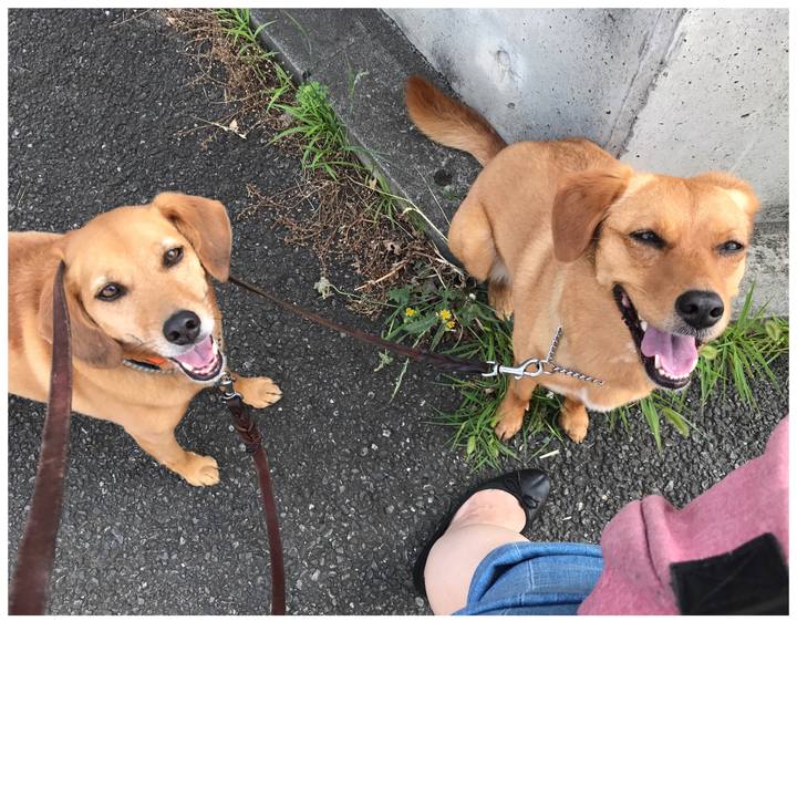 8e876fed 4199 4ac9 b136 59dc7e168bb6 1559777466176