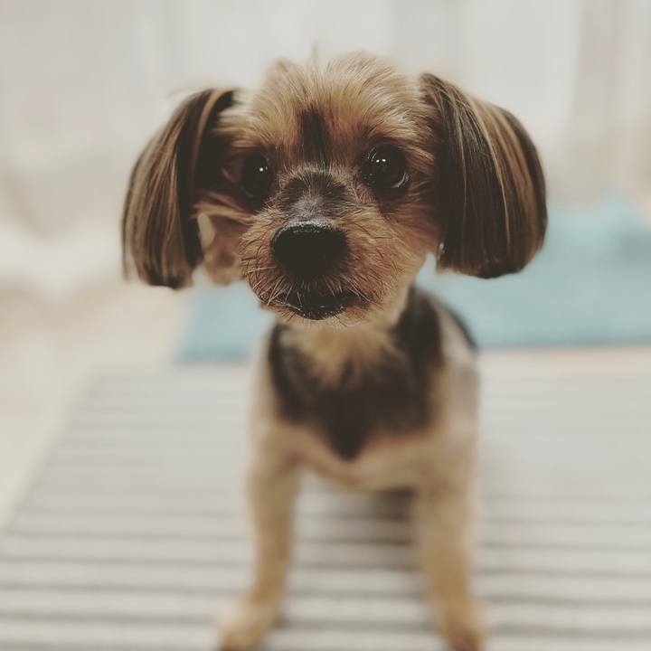 8e878544 aee0 4bd1 b3ce b1a667a06e58 1650067173754