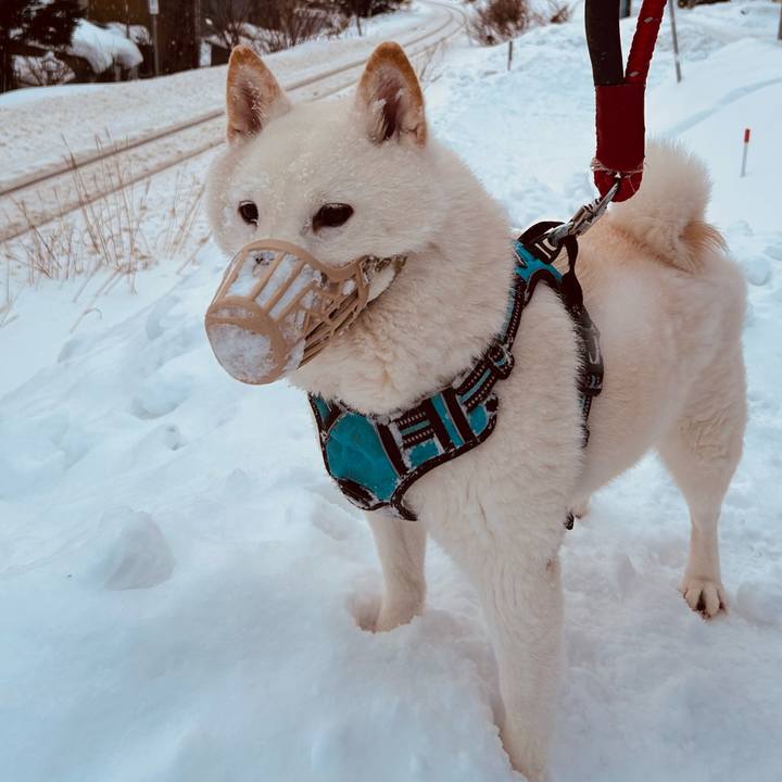 8e87b502 a69a 4ec5 a117 c6c654ae0c44 1736548958997