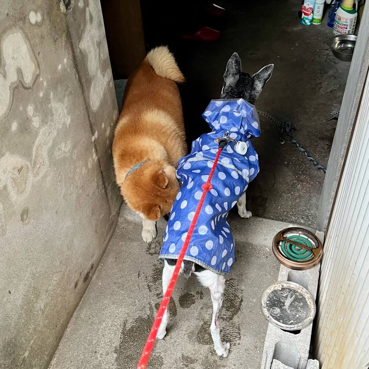 8e8814f7 49b0 4414 95a8 1a3f6f2dd6ee 1656804825276