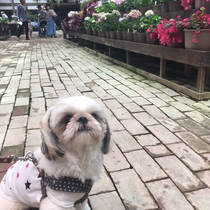 8e887523 611b 4df6 a68a 2b4457146730 1561811898587