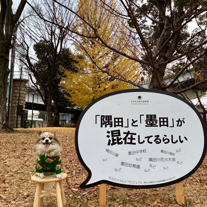 8e88b2d0 3b69 47f9 a142 e1227e31d9ac 1766193942145