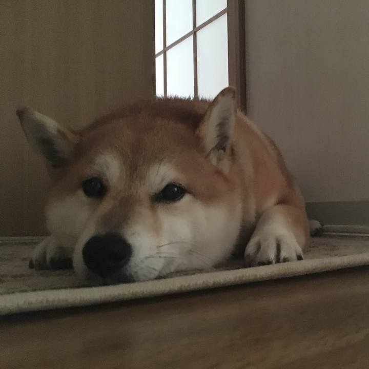 8e88bfb0 bd0a 42a0 80df e3278c1341df 1565926469107