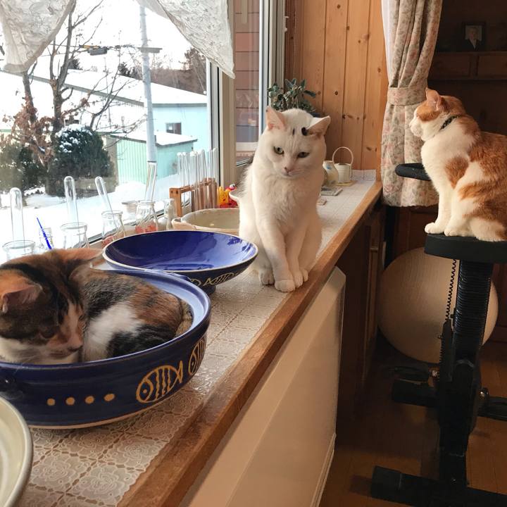 8e88cd41 b228 42ba 8a69 12325ca5ba98 1609108768335