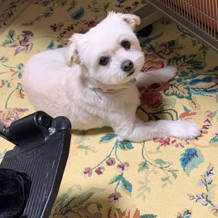 8e88d97c 619d 410a 9d90 f4d64c9160d3 1619595750761