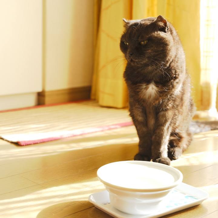 8e8928ca 8eb6 40f9 8240 ce1e0e89ed60 1641640178387