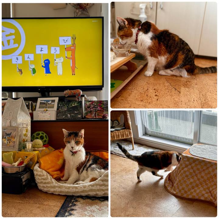 8e8936ab 0261 4b27 9230 b787ba4d558c 1712269574975