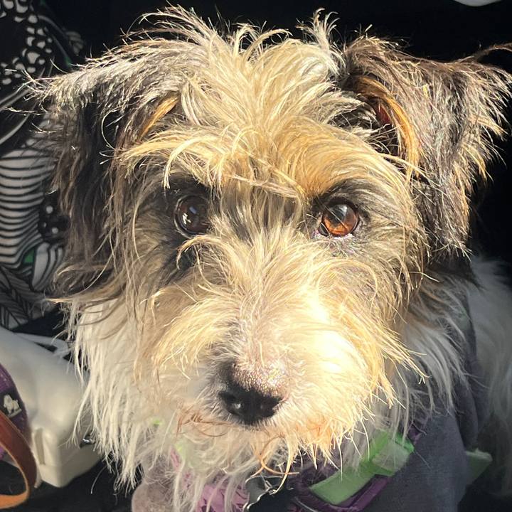 8e89498e ca56 4c0a 952c a32046da63d5 1769912181893