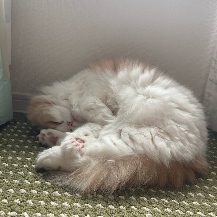 8e8967e0 0ec0 43e1 9a2b 6627d54ca5c6 1603543255207