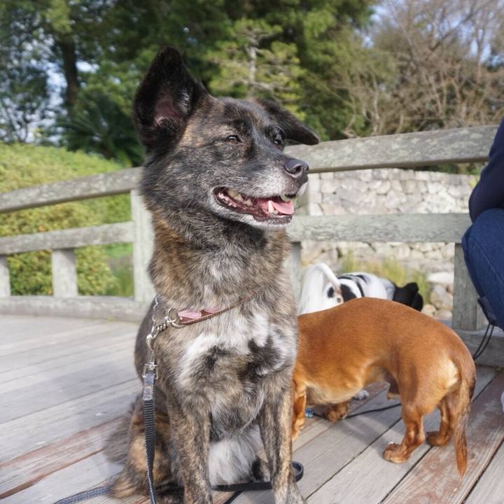 8e8989d8 b201 41c1 9fbe 4cf9369428ed 1523762087844