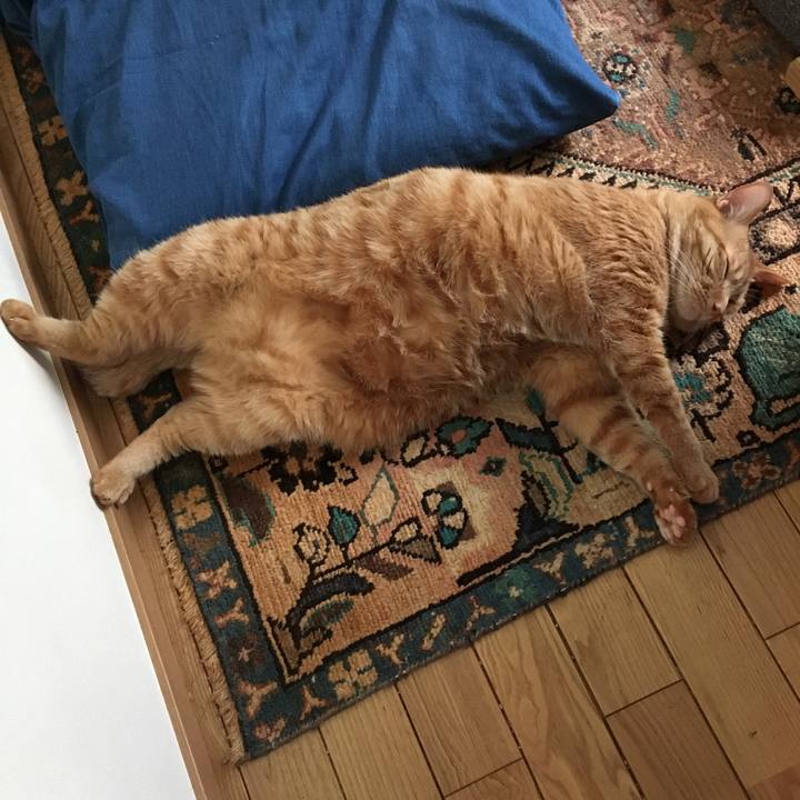 8e89a210 f0b8 4184 a409 cdcb9c010332 1587420321200