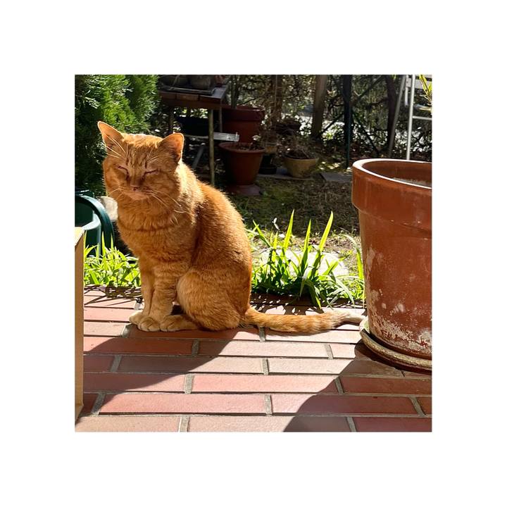 8e89ac9a aae2 4698 baf5 2fbd1cd82f9f 1676886382094