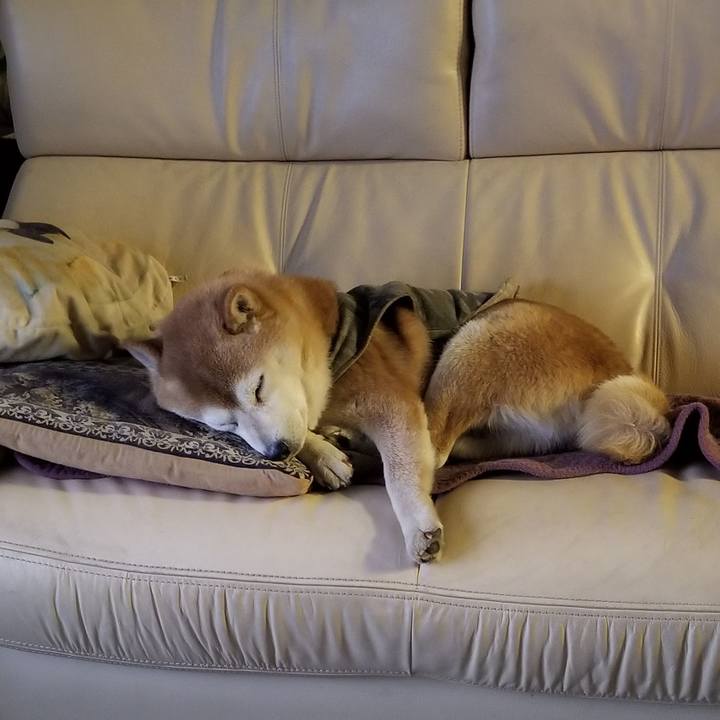 8e89ad28 f51c 4c25 8405 ca65074dbb10 1646222065609