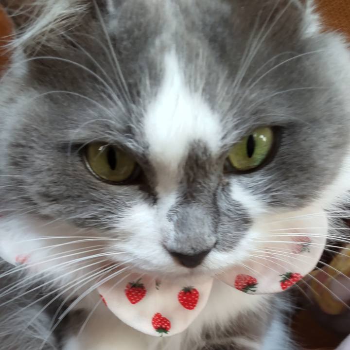 8e89b287 131c 43dc 8638 6b348c45ff7e 1700370689713