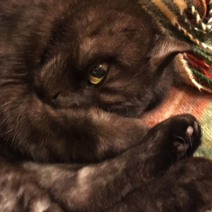 8e89d2d1 2ba7 4140 b08c b1518aa791f1 1542821595405