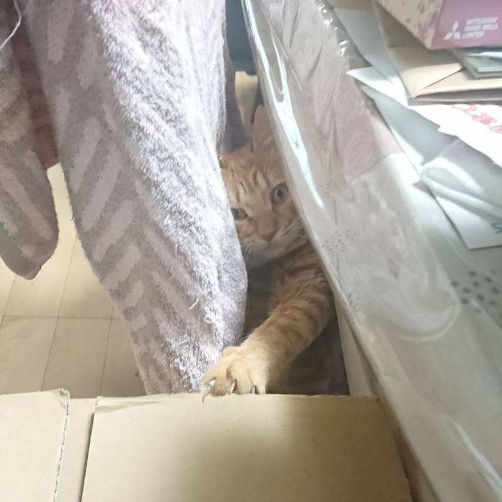 8e89fd0a 928c 4085 bf58 8a0acb2e9f8f 1654502646623