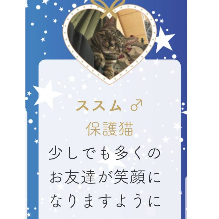 8e8a1e2e 2aac 489c b13c f15fbe6491b9 1544793951391