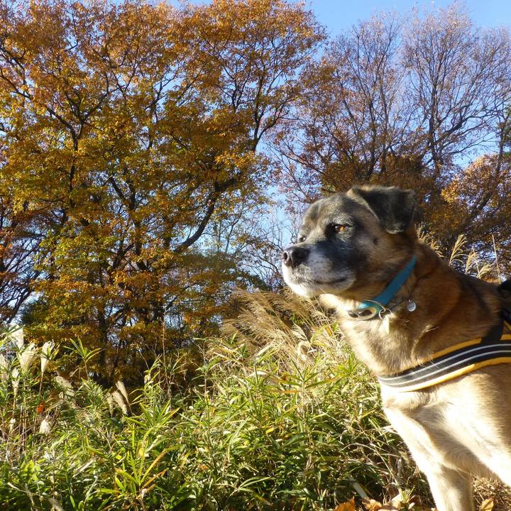 8e8a345b 7995 40ba 9810 6fc23ee2fcbd 1579306249096