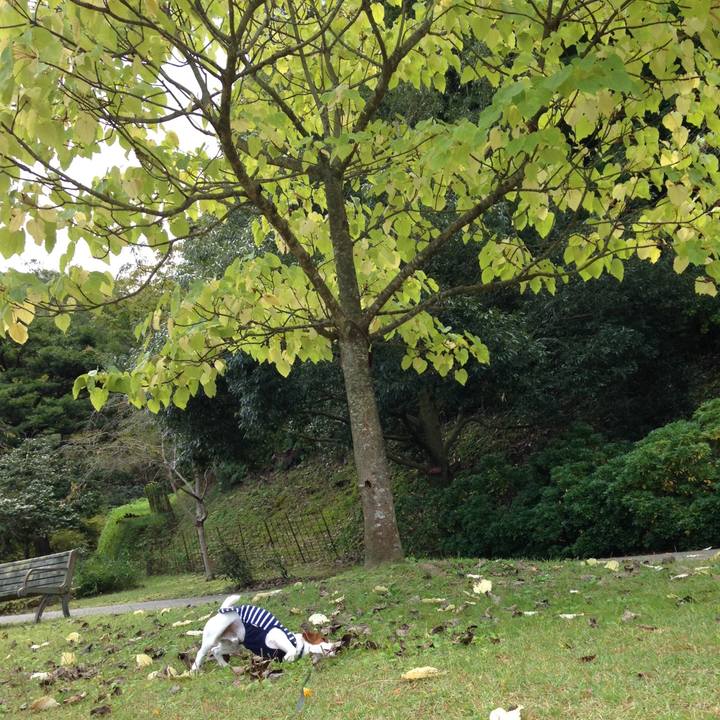 8e8a4906 37d9 43aa 953e 219bbfdbc9a5 1508917597240