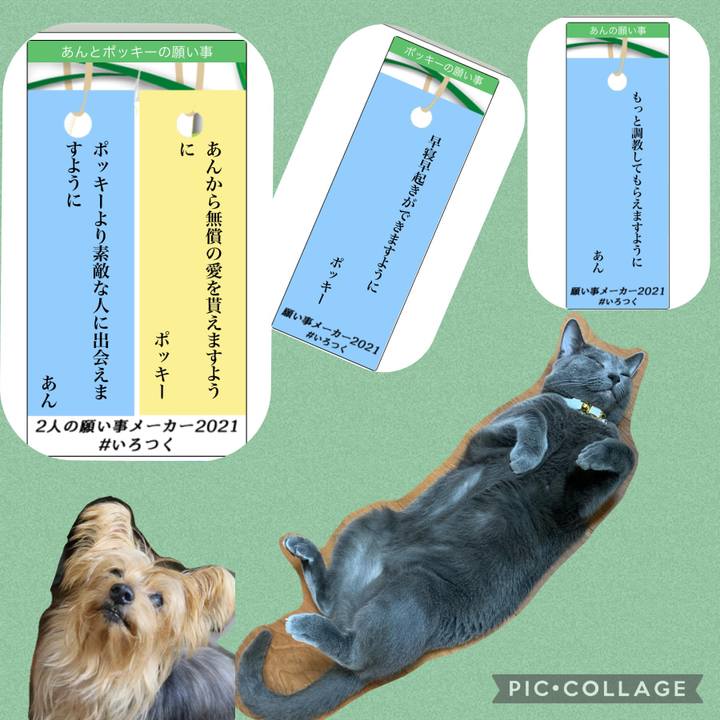 8e8a591c a867 4a0a b947 2b14b4338c53 1625667583430