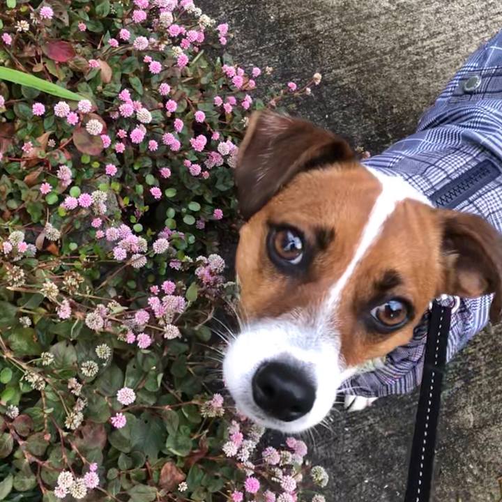 8e8a5c6d 331f 45a4 9b60 08857cb085d0 1544601353739