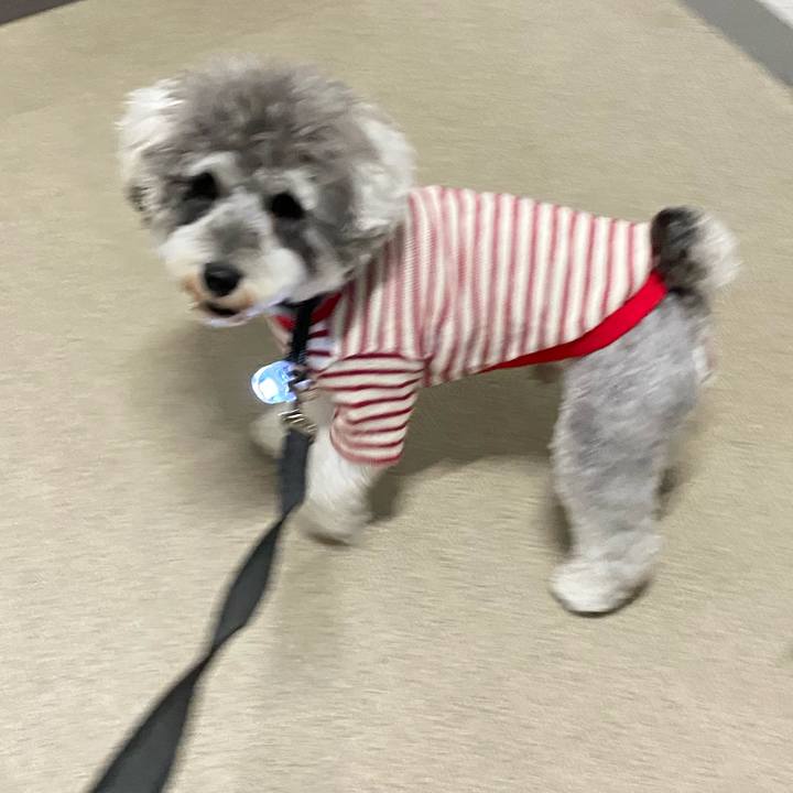 8e8a8abd 4090 4828 84db 3af0923b5865 1602944124762