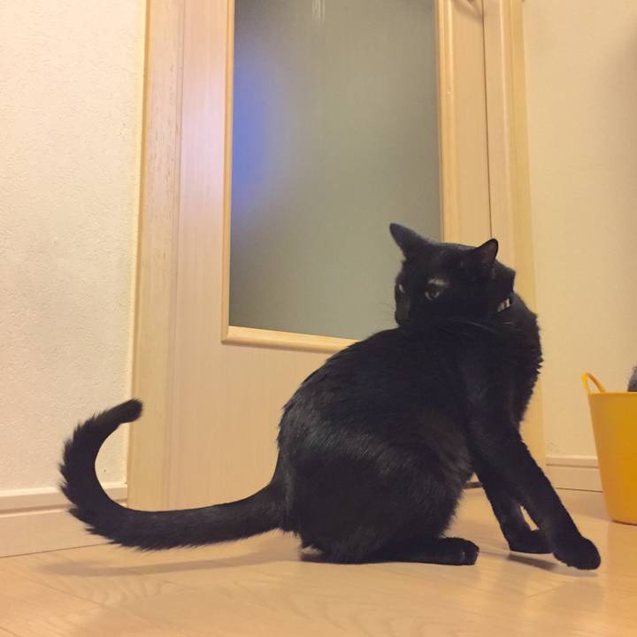 8e8a98f2 6e67 4272 9199 9d878f7826a4 1510060107251