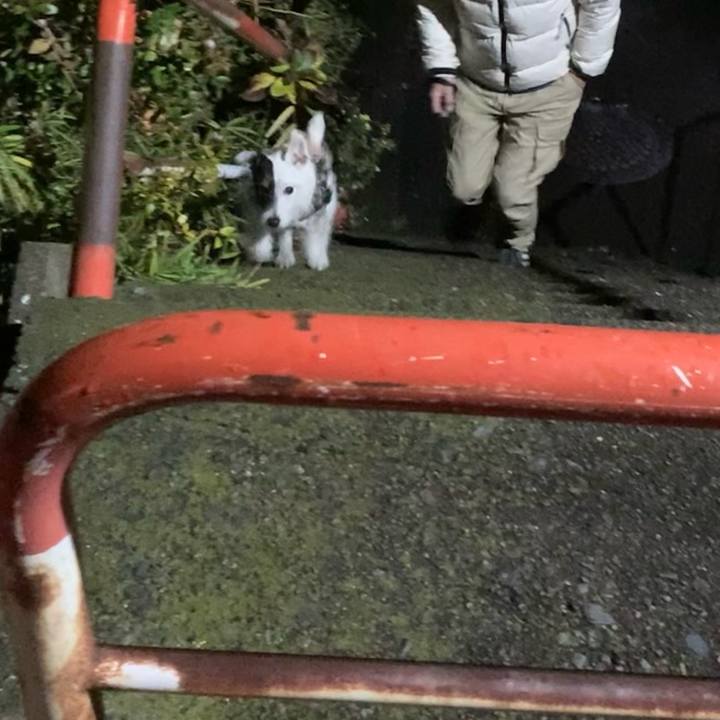 8e8ad2f8 e2f5 49f3 b3bf 20f4152f3369 1673701738736