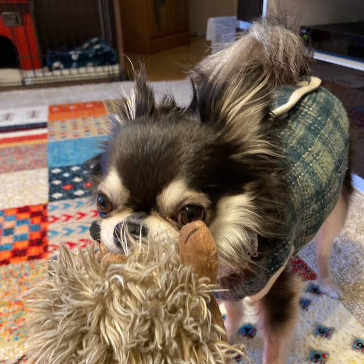 8e8ae9c1 4fe0 4117 b3c3 963b4e04baa3 1711798304780