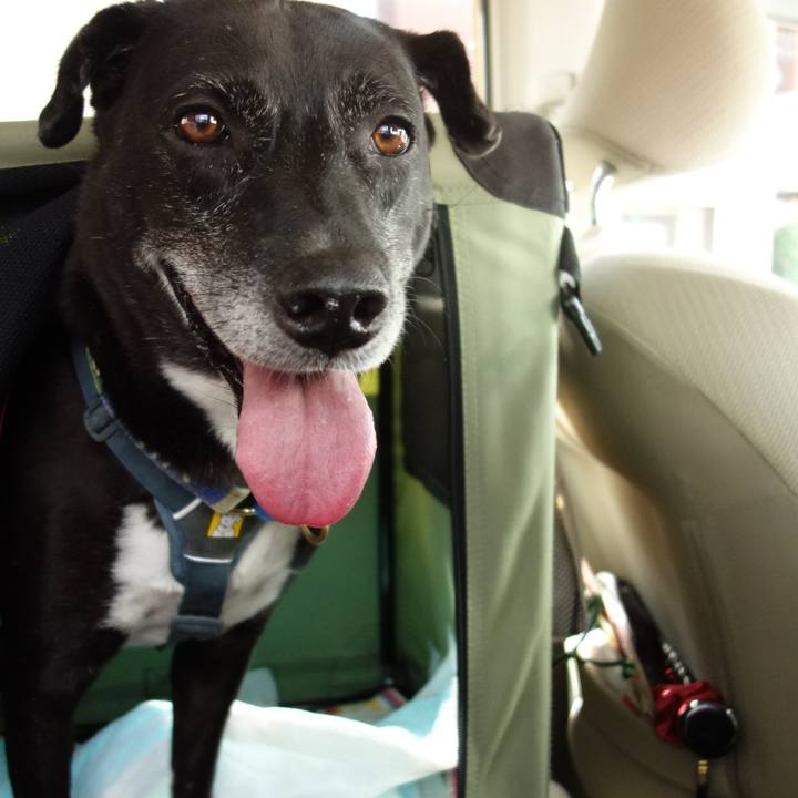 8e8af630 21aa 4254 b864 6321573f40b9 1725850741767