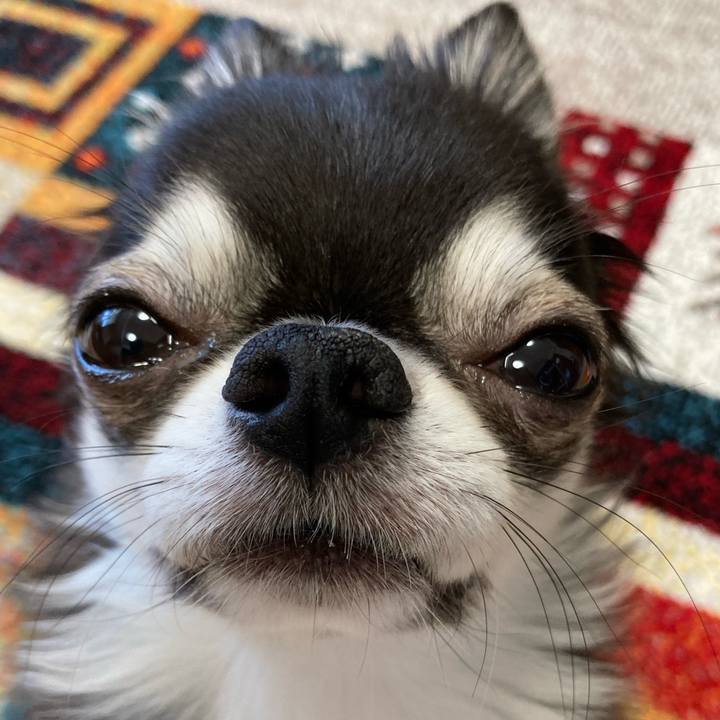 8e8b0410 3728 49bf 805d 8752fc380e74 1693605691706