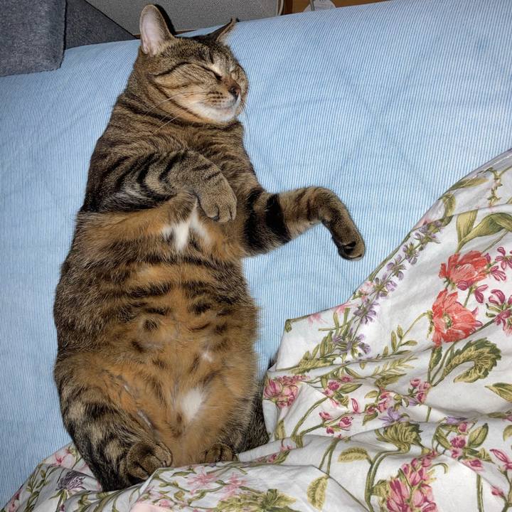 8e8b1036 2f9c 4ce0 8006 6dad01be04e7 1621004087083