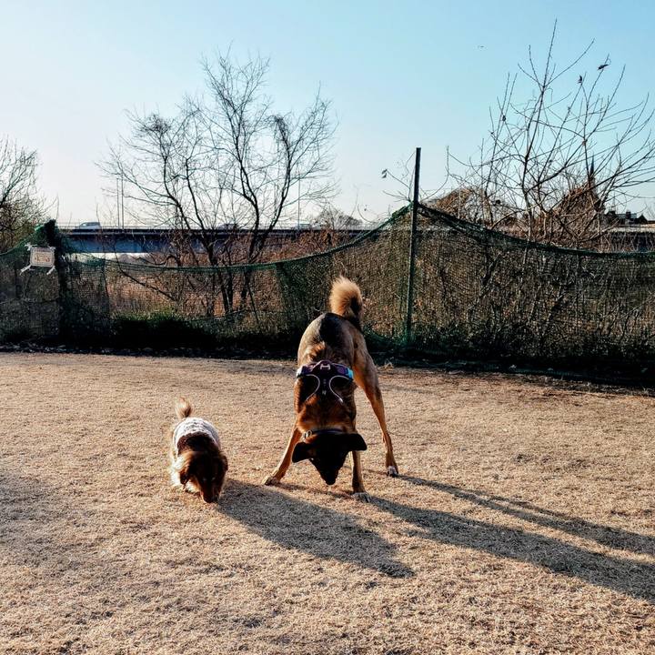 8e8b410d 8f91 412d aa0d 32e3fd9adaf9 1768698944168