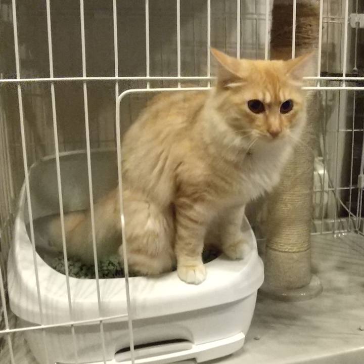 8e8b4862 8d5b 427f 8bd6 3caee6a79263 1619609554957