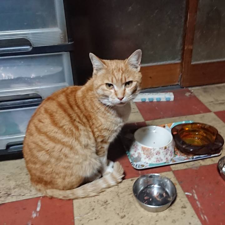 8e8ba485 252c 4651 9073 e0e28e72f4d4 1585820560482