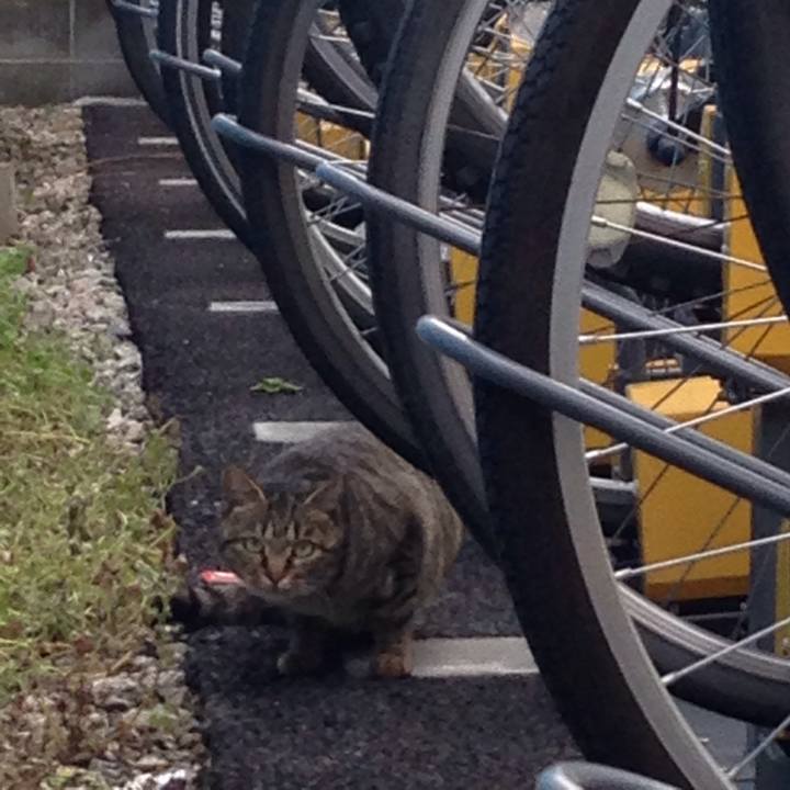 8e8bbe1c f031 4a2d 856f d88f5a1dbb3f 1511166782893