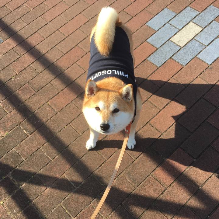 8e8bd3d9 c4ba 4052 8990 1a668a854c31 1548741138052