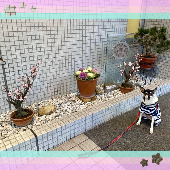 8e8bdfb4 c3a0 4d24 a2ad a6e4eb0eacce 1582027341814