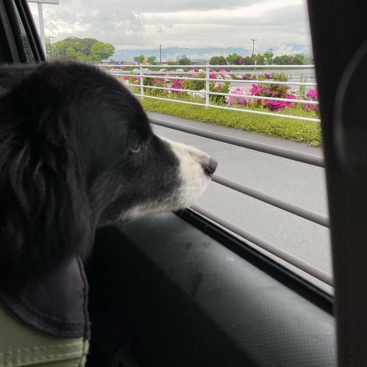 8e8c03b4 2d08 4ec7 bdba 4f4ddc09c222 1650752410752