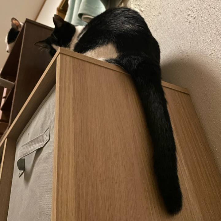 8e8c20fc 5d1d 40dd b16d b0058f42634e 1701541957848