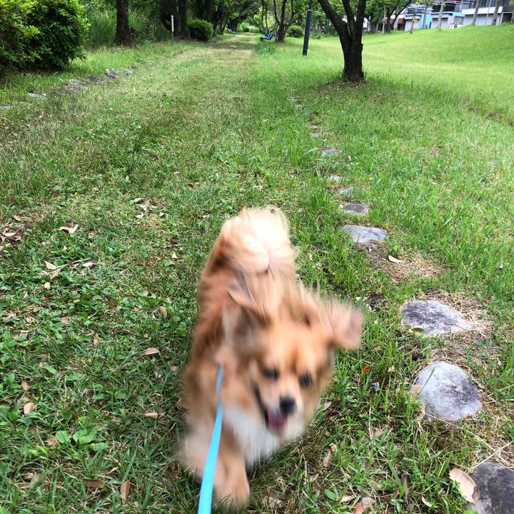 8e8c35ab b89d 43ca bd13 b41f8bc0532c 1559684383770