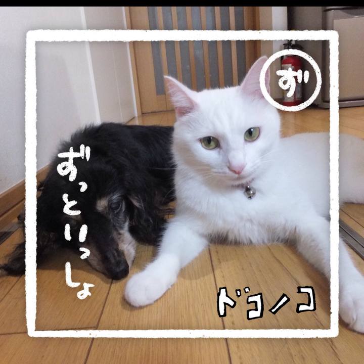 8e8c4bc5 0995 4dfa 8f2a e714c8c04733 1685933981902