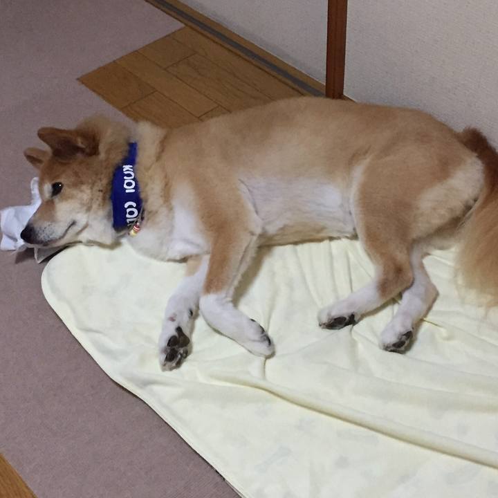 8e8c6266 f407 48c7 940d 87e98cdeb0e7 1556341027173